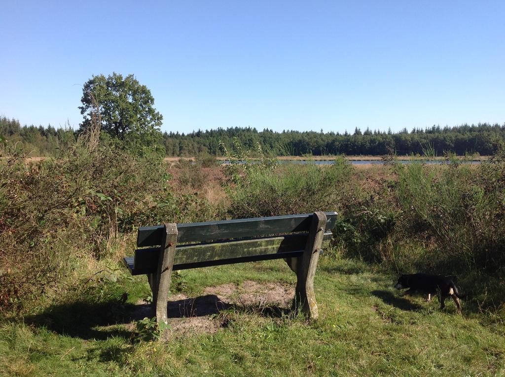 De Rode Beuk Elp Bagian luar foto